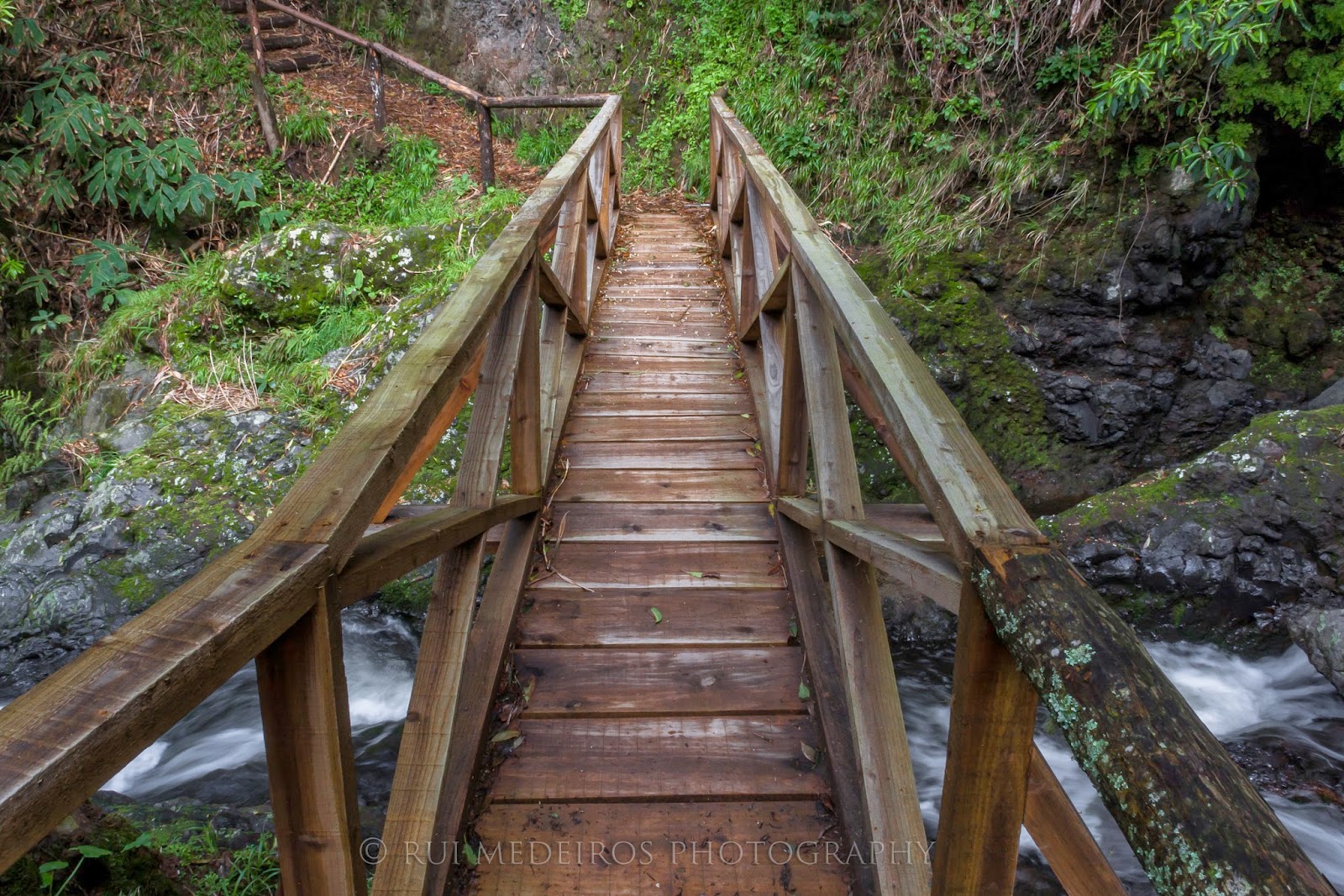 Bridge on the hiking trail