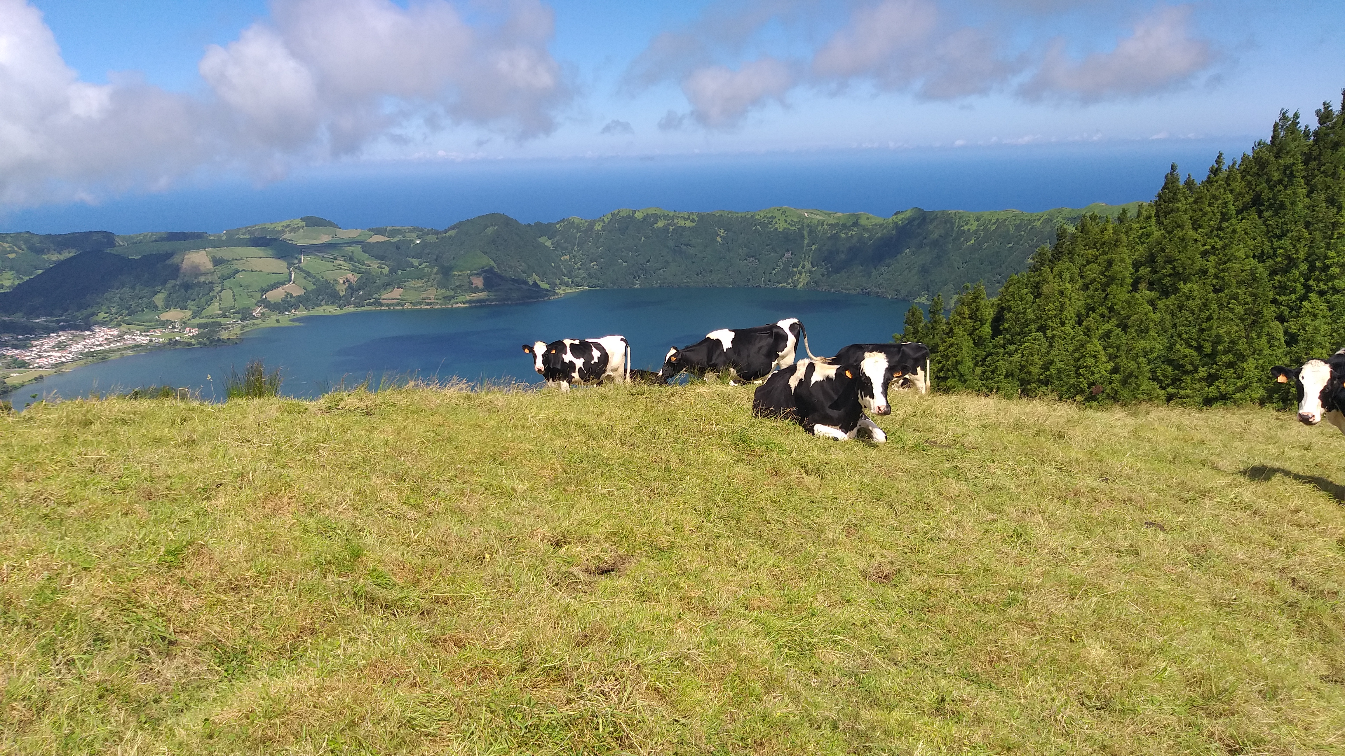 Scenery seen on the hiking trail of Sete Cidades